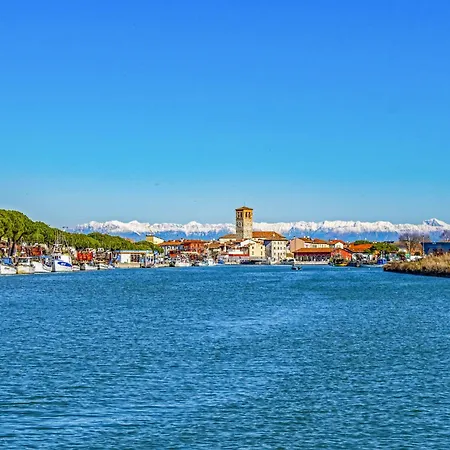 In 24410 * 비비오네